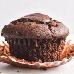 Cocoa Muffin