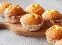 Plain Muffin