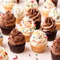 Cocoa Cupcake Mix